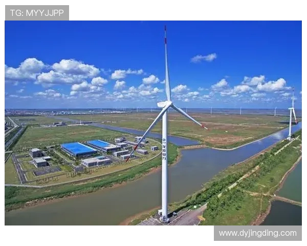 大秦之水与盐城直播的精彩对决全景解析与赛事回顾